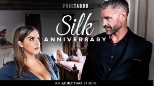Silk Anniversary